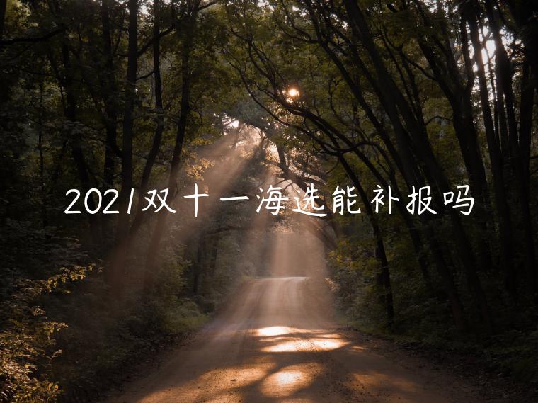 2021雙十一海選能補報嗎